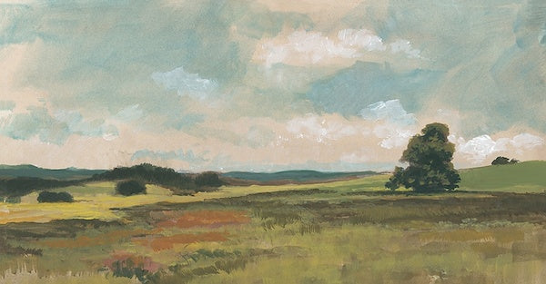 Distant Meadow