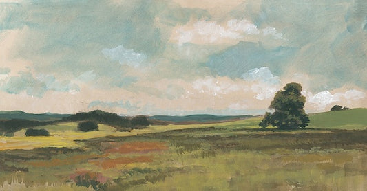 Distant Meadow
