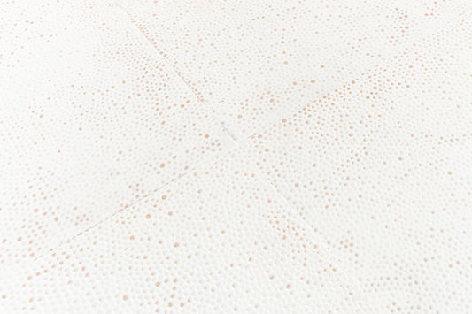 Osprey Shagreen Console Table