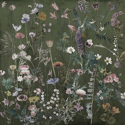Wild Meadow